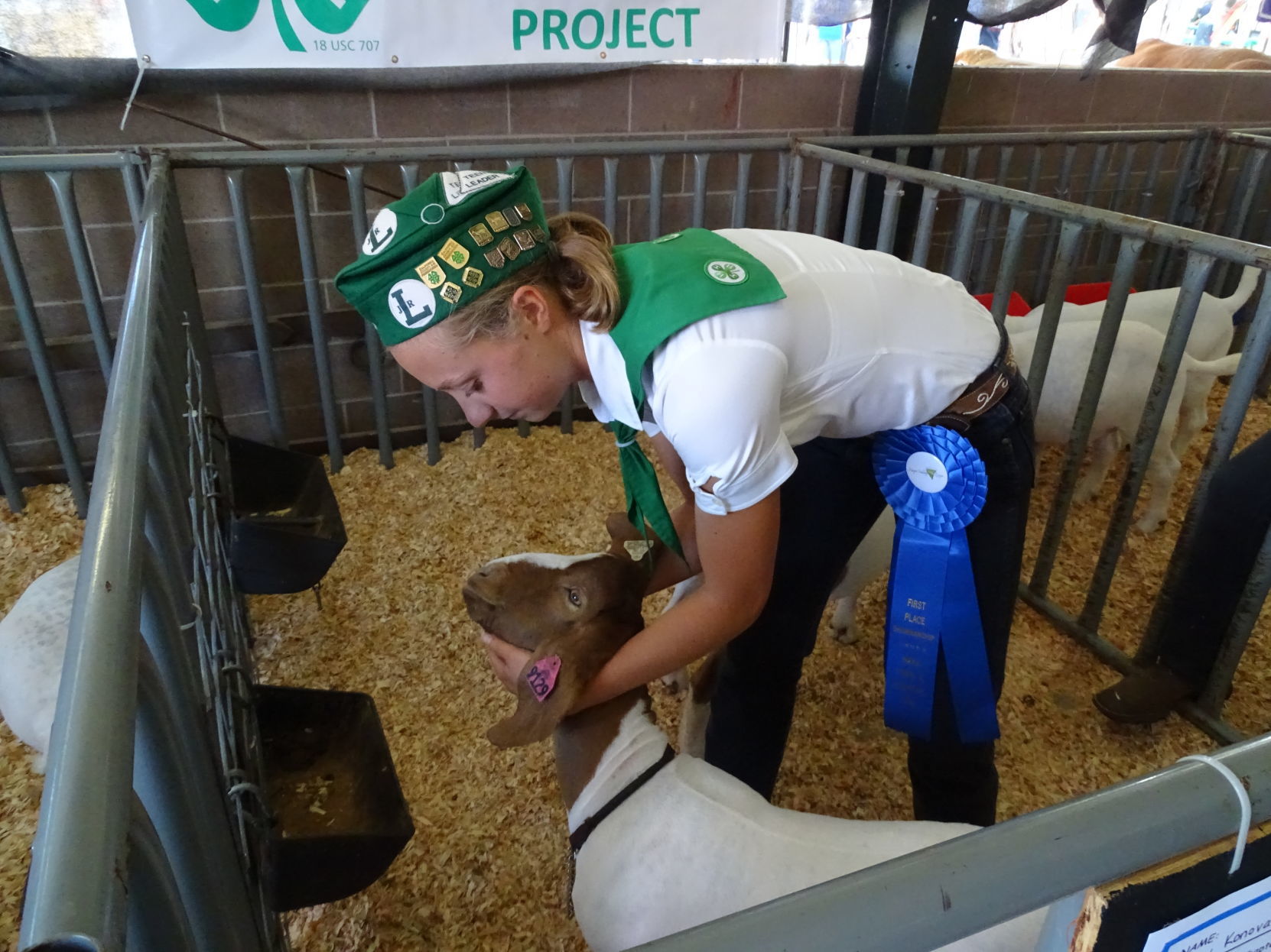 Junior Livestock Auction 2019